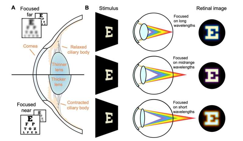 Human Eye Functions Like a 576 Megapixel Camera and Reveals How It Selects Color