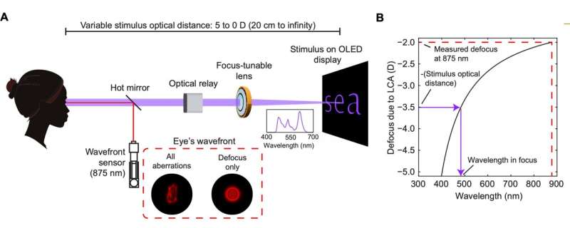 Human Eye Functions Like a 576 Megapixel Camera and Reveals How It Selects Color