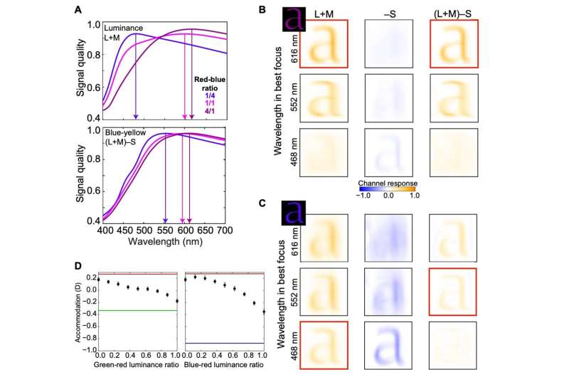 Human Eye Functions Like a 576 Megapixel Camera and Reveals How It Selects Color