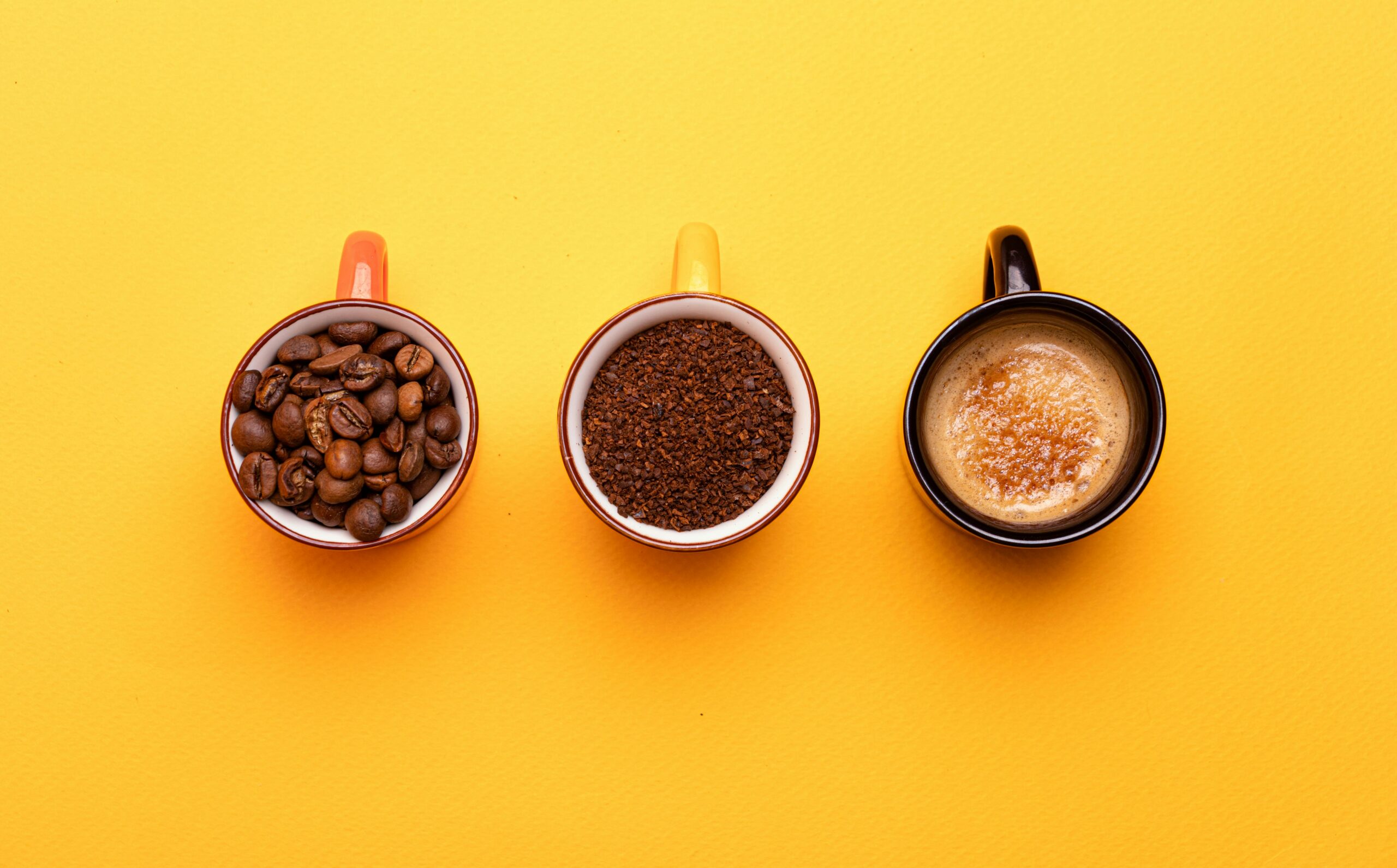 Coffee and the Gut Brain Axis: How Caffeinated and Decaffeinated Brews Shape Mood and Stress